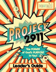 Project 2911 Leader's Guide (VBS/ Art Camp) Digital PDF