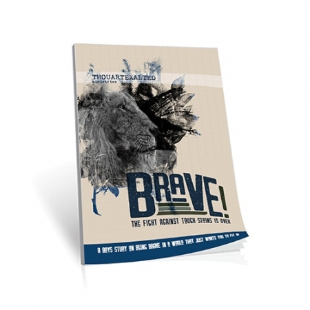 Brave for Boys-500x500